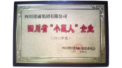 13 四川省“小巨人”企业.jpg 13 四川省“小巨人”企业.jpg