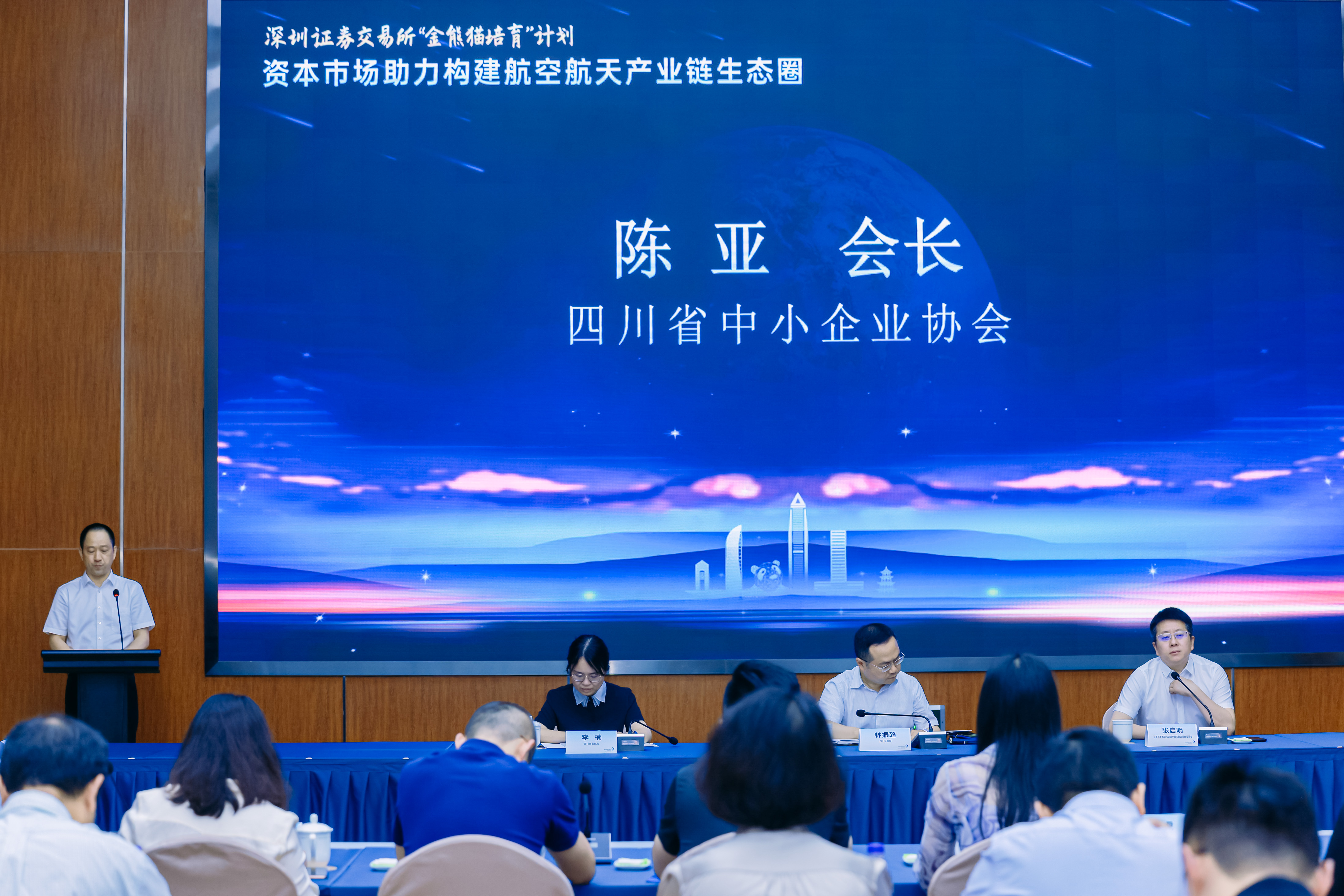 陈亚讲话.jpg 陈亚讲话.jpg