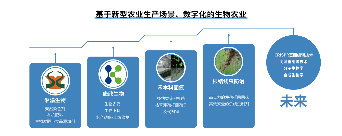 图片4.png 图片4.png