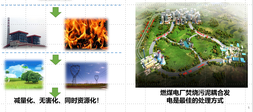 全景网