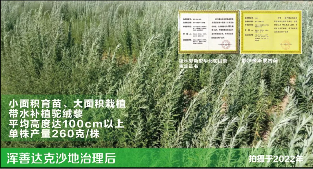 蒙草生态中标1328万元浑善达克沙地概述顾问形势.png