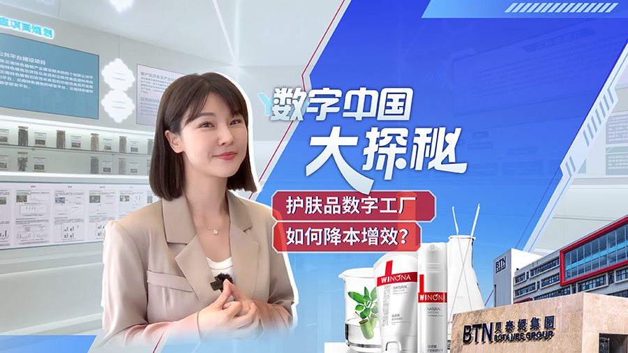 全景网