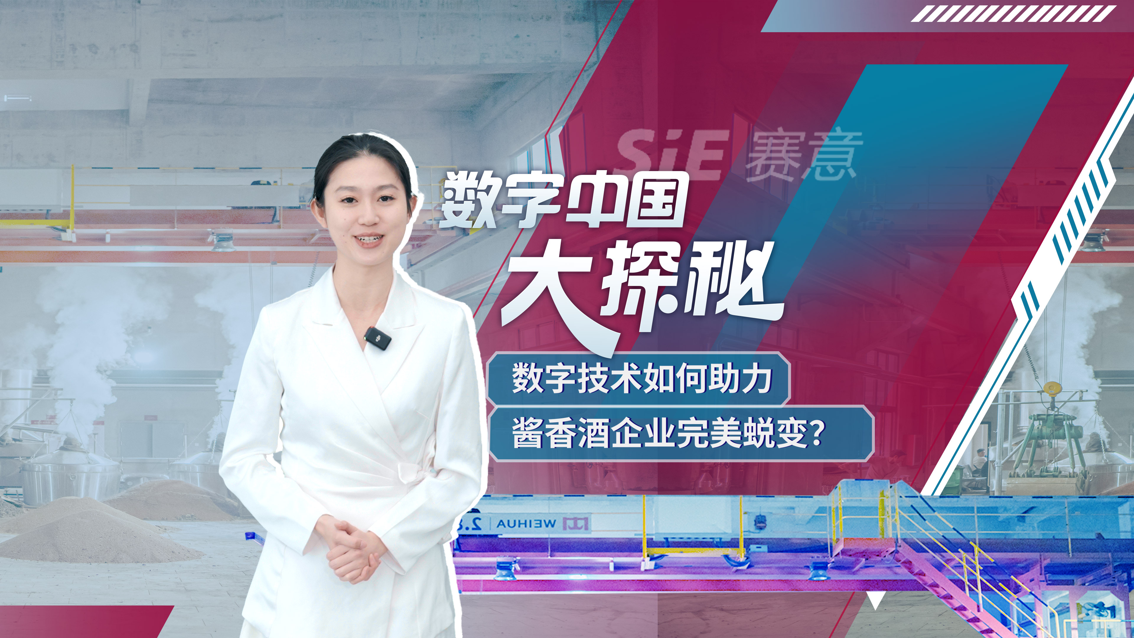 全景网